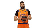 Liga Endesa Basketball Sticker by ACB