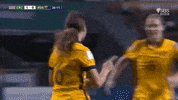 Sport Soccer GIF by Football Australia