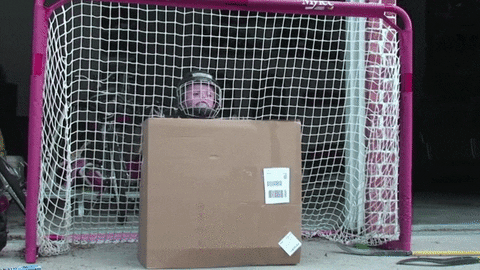 hockey protection GIF