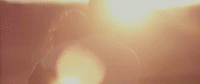 taylor swift GIF