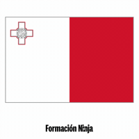 Flag Bandera GIF by Formación Ninja