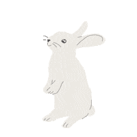 Bunny Sticker by Little Planet