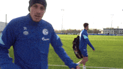 Football Soccer GIF by FC Schalke 04