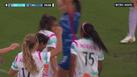 France Goal GIF by National Women's Soccer League