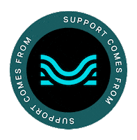 Music App Sticker by Moises.ai