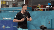 Happy Euro 2020 GIF by MolaTV