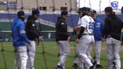 Creighton Baseball GIF by Creighton University Athletics