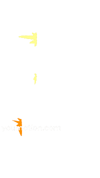 Animation Wipe Sticker by youmotion.com