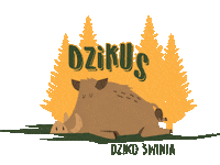 Qdizajn animal sleep pig forest Sticker