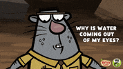Sad Nature Cat GIF by PBS KIDS
