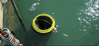 news tech GIF