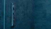 Elevator GIF by Lola Brooke