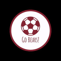 Golden Bears GIF by HIES Athletics
