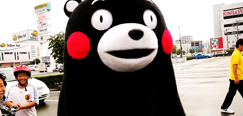 Japan Bear GIF