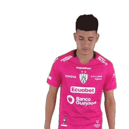 Del Valle Soccer Sticker by INDEPENDIENTE DEL VALLE