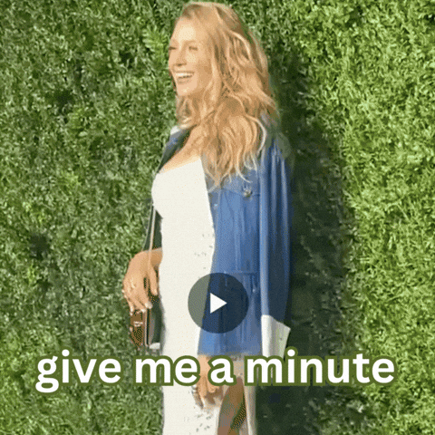Wait A Second Hold On GIF by Blake Lively Fan