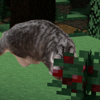 Komaru Sweet Berries GIF