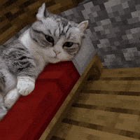 SingNO2 komaru minecraft cat GIF