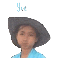 Cowboy Ry Sticker