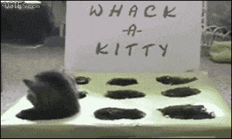 dat GIF