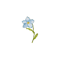 Blomma Sorg Sticker by Utan dig