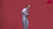 baseball GIF