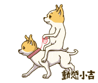 Animation Dog GIF