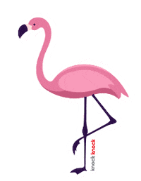 Pink Miami Sticker by Weknock