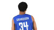 National Team Sport Sticker by Basket_fi