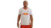 Rbl Omg Sticker by RB Leipzig