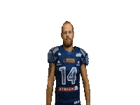 American Football Win Sticker by Steelsharks