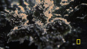 one strange rock GIF by National Geographic Channel
