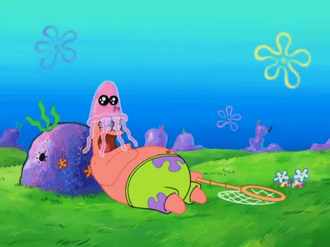 season 8 GIF by SpongeBob SquarePants