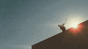 hockey ice GIF by Capitals