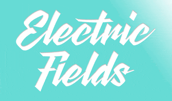 ef18 GIF by Electric Fields Festival