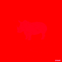 White Rhino Fox GIF by gifnews