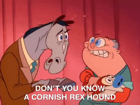 nicksplat ren and timpy GIF