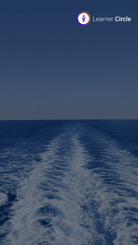 GIF by Learner Circle