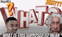 Confused What Is This GIF