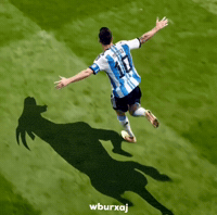 Fifa World Cup 2026 Messi Goat GIF