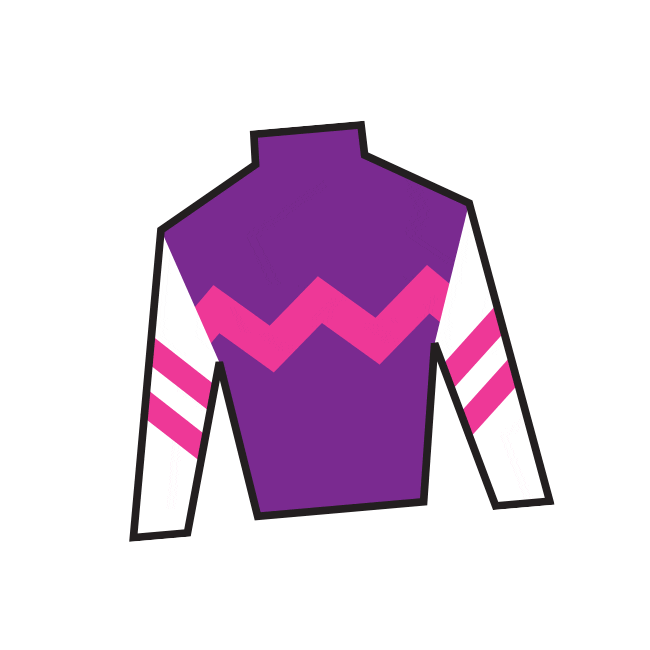 Sport Silk Sticker by Kentucky Derby