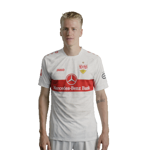 Football Sport Sticker by VfB Stuttgart