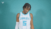 Hive Mentality Mark Williams GIF by Charlotte Hornets