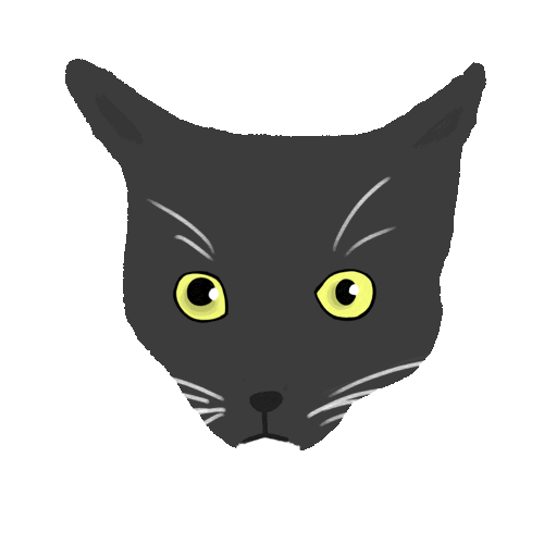 Cat Shock Sticker