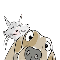 Pet Lovers Cat Sticker