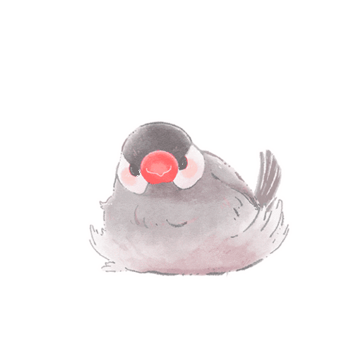 Birds Love Sticker