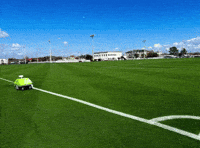 Turf Tank GIF by ENDURANT TURF PAINT