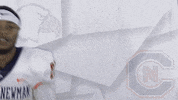 Carson Newman Football GIF by Carson-Newman Athletics