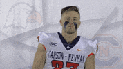 Carson Newman Football GIF by Carson-Newman Athletics