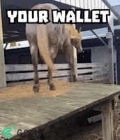 GoPlusLabs crypto bitcoin blockchain web3 GIF